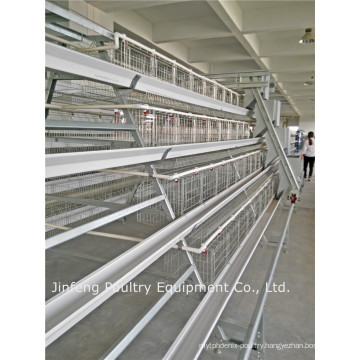 Layer Farm Automatic Poultry Equipment Chicken Cage